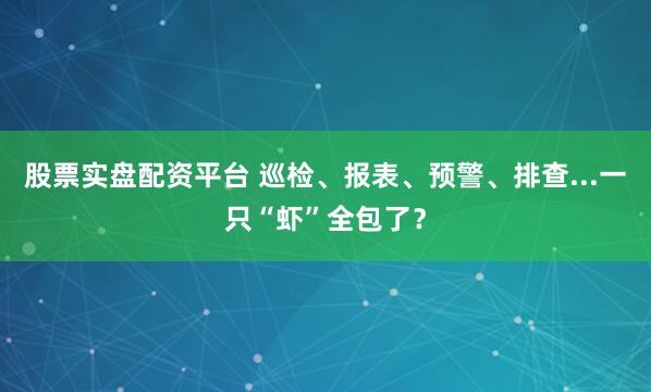 股票实盘配资平台 巡检、报表、预警、排查...一只“虾”全包了?